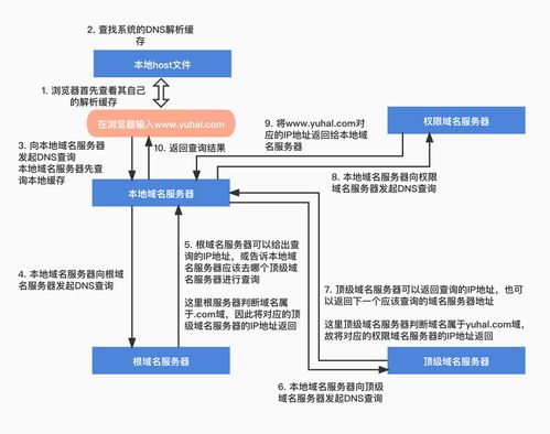 Linux 系統(tǒng) DNS 服務(wù)器搭建與配置實(shí)驗(yàn)報告 - 信息系統(tǒng)運(yùn)行維護(hù)服務(wù)